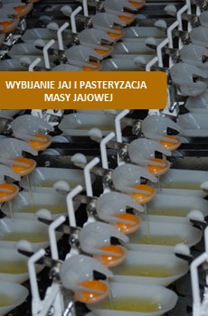 Wybijanie i pasteryzacja masy jajowej